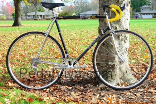 Raleigh Prestige ficha tecnica